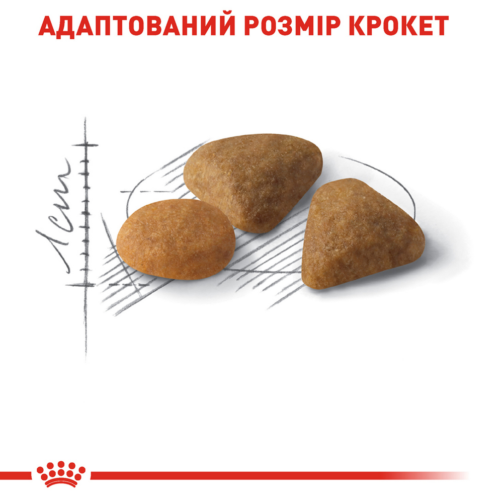 Royal Canin Exigent Savour сухий корм для вибагливих котів, з м’ясом птиці - 4 кг