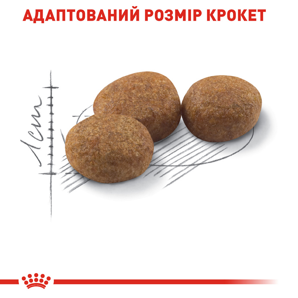 Royal Canin Sterilised 37 сухий корм для стерилізованих котів - 400 г