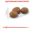 Royal Canin Sterilised 37 сухий корм для стерилізованих котів - 4 кг
