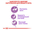 Royal Canin Sterilised 37 сухий корм для стерилізованих котів - 4 кг