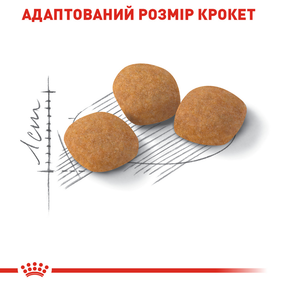 Royal Canin Exigent Protein Preference сухий корм для вибагливих котів - 2 кг