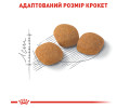 Royal Canin Exigent Protein Preference сухий корм для вибагливих котів - 2 кг