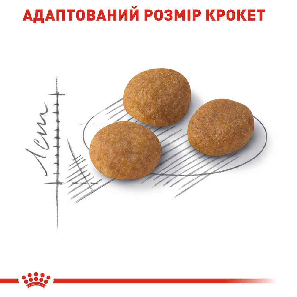 Royal Canin Aroma Exigent сухий корм для вибагливих котів - 2 кг