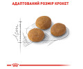 Royal Canin Aroma Exigent сухий корм для вибагливих котів - 2 кг