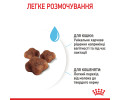 Royal Canin Babycat корм для кошенят та кішок у період вагітності і лактації - 400 г