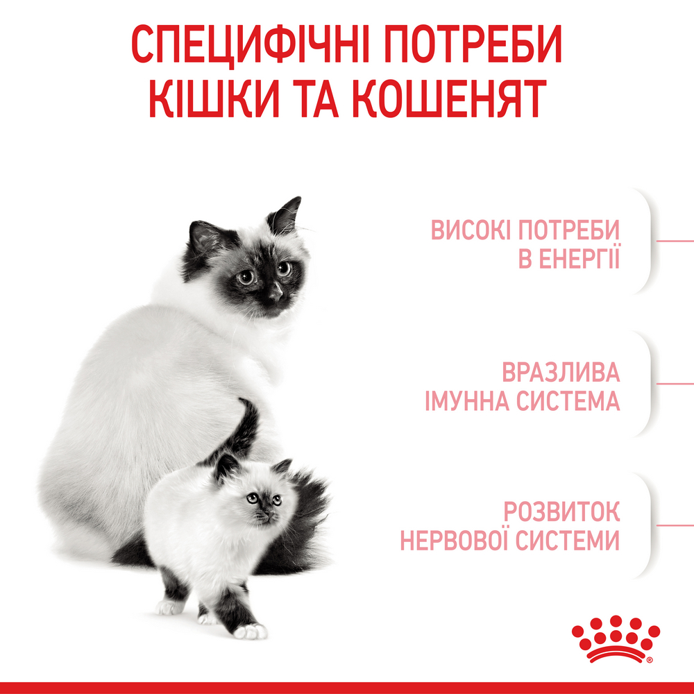 Royal Canin Babycat корм для кошенят та кішок у період вагітності і лактації - 2 кг