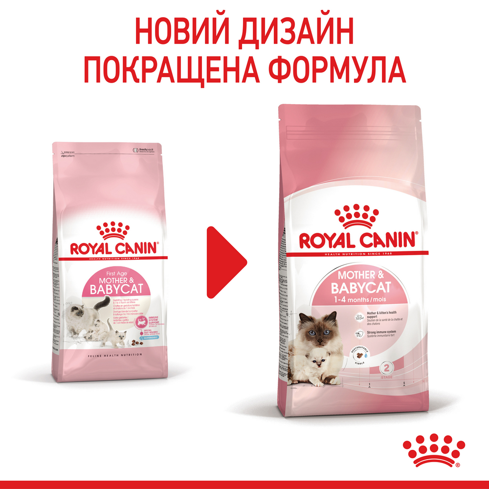 Royal Canin Babycat корм для кошенят та кішок у період вагітності і лактації - 10 кг