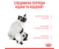 Royal Canin Babycat корм для кошенят та кішок у період вагітності і лактації - 10 кг