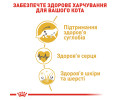 Royal Canin Maine Coon Adult сухий корм для котів породи мейн-кун - 2 кг