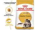 Royal Canin Maine Coon Adult сухий корм для котів породи мейн-кун - 4 кг