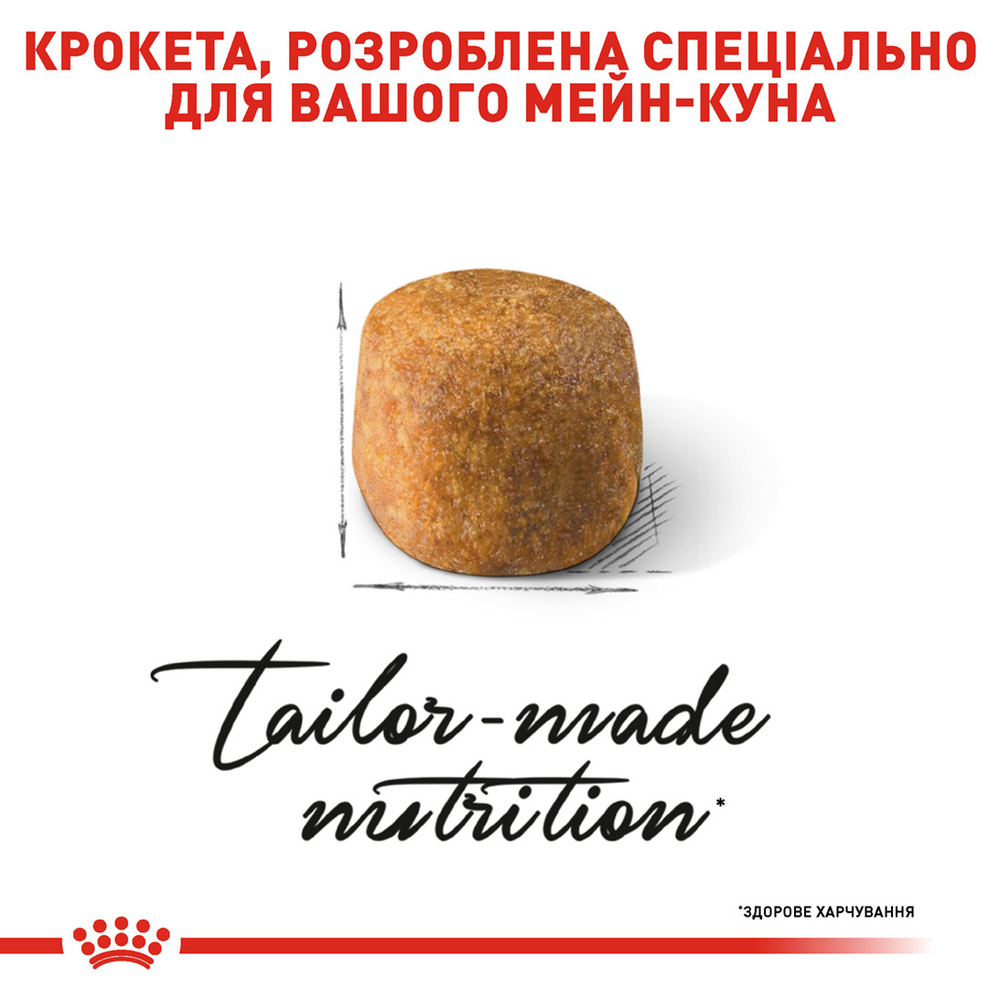 Royal Canin Maine Coon Adult сухий корм для котів породи мейн-кун - 4 кг