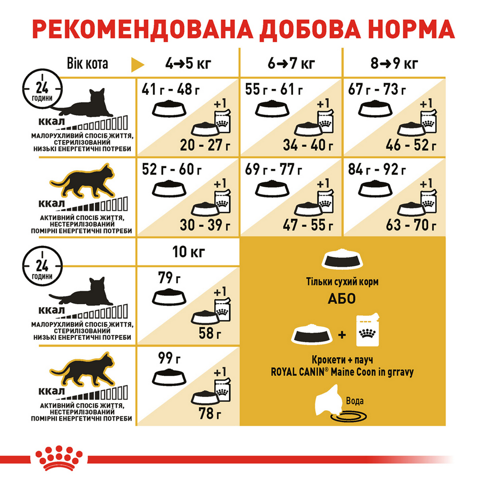 Royal Canin Maine Coon Adult сухий корм для котів породи мейн-кун - 4 кг