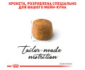Royal Canin Maine Coon Adult сухий корм для котів породи мейн-кун - 10 кг