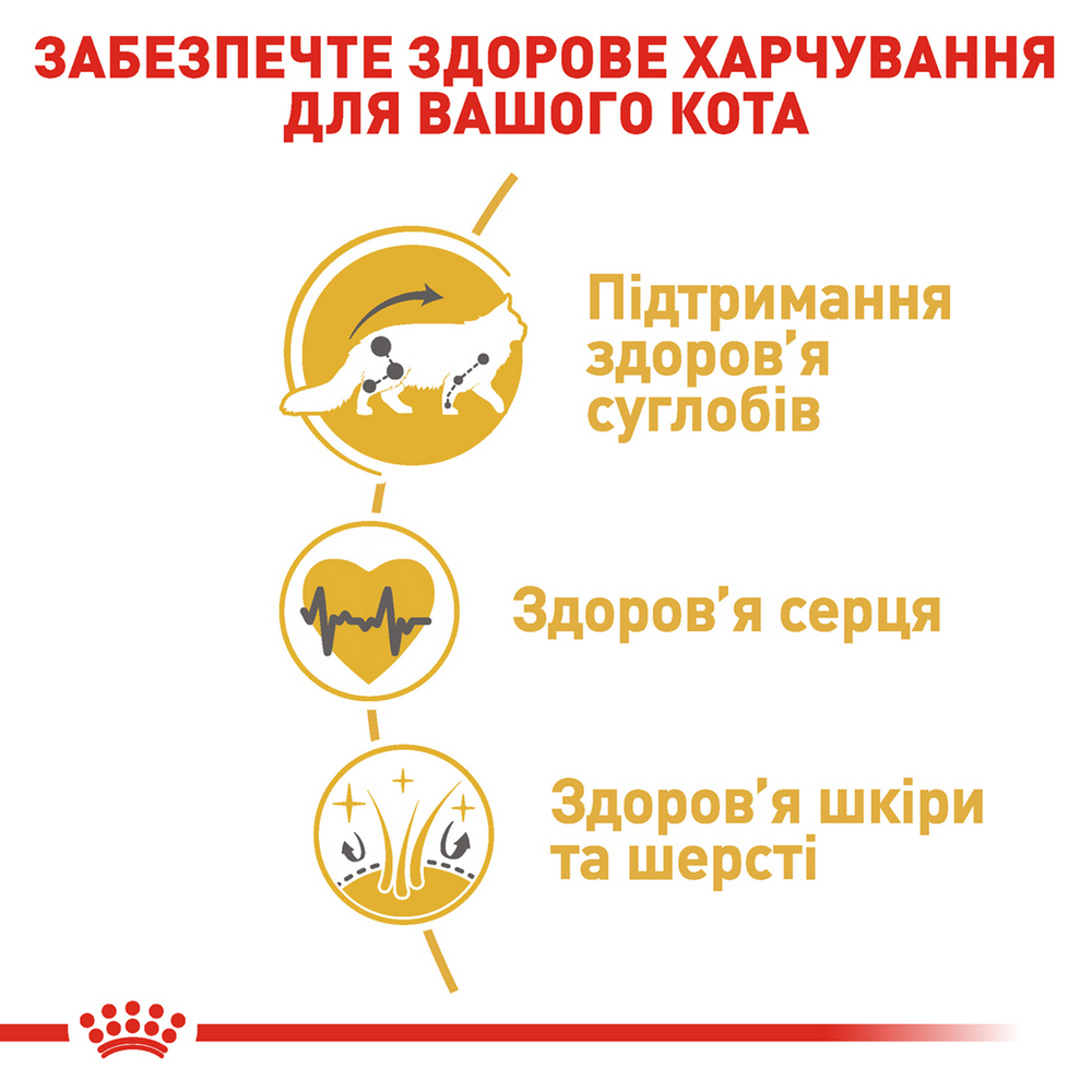 Royal Canin Maine Coon Adult сухий корм для котів породи мейн-кун - 10 кг