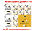 Royal Canin Maine Coon Adult сухий корм для котів породи мейн-кун - 10 кг