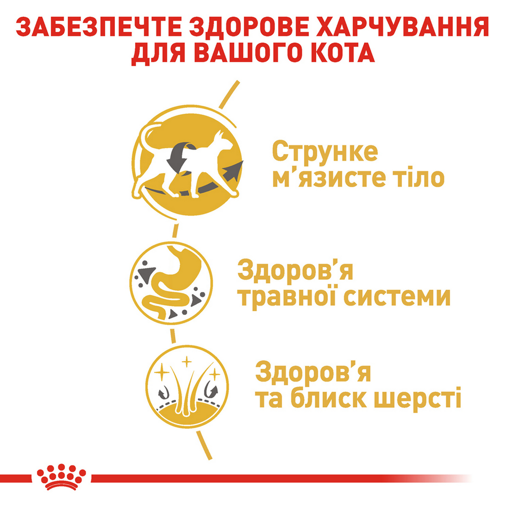 Royal Canin Siamese Adult сухий корм для котів сіамської породи - 400 г