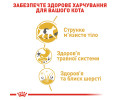 Royal Canin Siamese Adult сухий корм для котів сіамської породи - 400 г