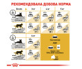 Royal Canin Siamese Adult сухий корм для котів сіамської породи - 400 г