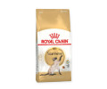 Royal Canin Siamese Adult сухий корм для котів сіамської породи - 400 г