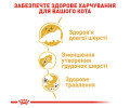 Royal Canin Persian Adult сухий корм для котів персидської породи - 2 кг
