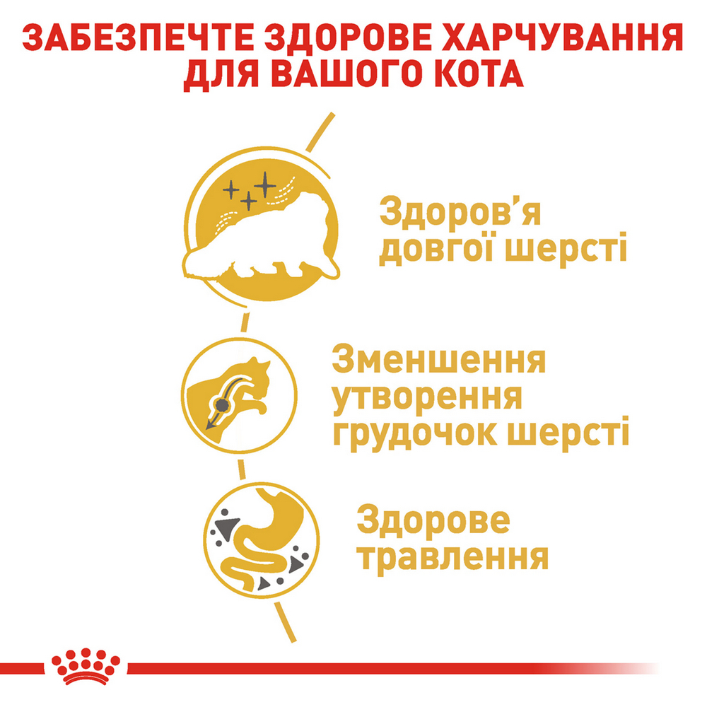 Royal Canin Persian Adult сухий корм для котів персидської породи - 4 кг