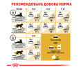 Royal Canin Persian Adult сухий корм для котів персидської породи - 4 кг