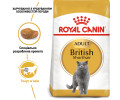 Royal Canin British Shorthair Adult корм для котів породи британська короткошерста - 2 кг