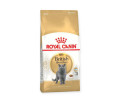 Royal Canin British Shorthair Adult корм для котів породи британська короткошерста - 2 кг