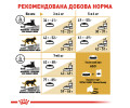 Royal Canin British Shorthair Adult корм для котів породи британська короткошерста - 2 кг