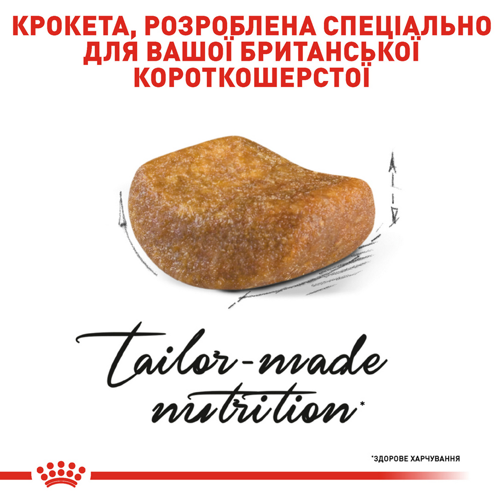 Royal Canin British Shorthair Adult корм для котів породи британська короткошерста - 4 кг