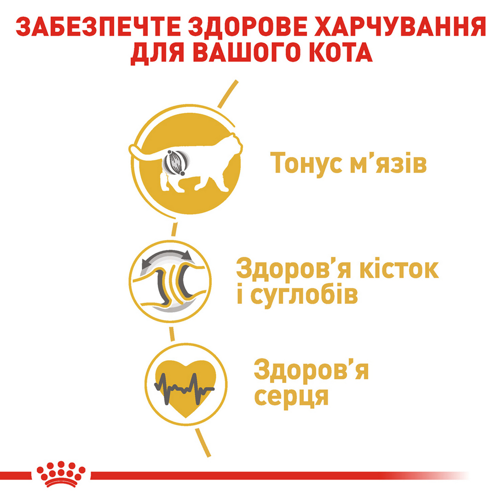 Royal Canin British Shorthair Adult корм для котів породи британська короткошерста - 4 кг