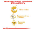 Royal Canin British Shorthair Adult корм для котів породи британська короткошерста - 10 кг