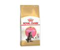 Royal Canin Maine Coon Kitten сухий корм для кошенят породи мейн-кун - 400 г