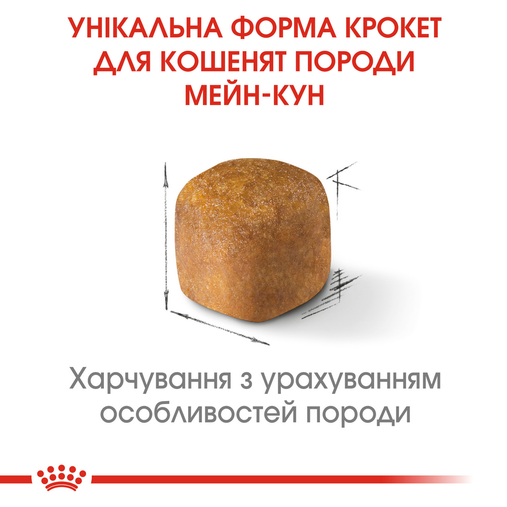 Royal Canin Maine Coon Kitten сухий корм для кошенят породи мейн-кун - 400 г