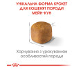 Royal Canin Maine Coon Kitten сухий корм для кошенят породи мейн-кун - 400 г
