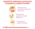 Royal Canin Maine Coon Kitten сухий корм для кошенят породи мейн-кун - 400 г