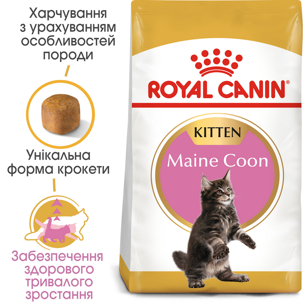 Royal Canin Maine Coon Kitten сухий корм для кошенят породи мейн-кун - 2 кг