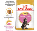 Royal Canin Maine Coon Kitten сухий корм для кошенят породи мейн-кун - 2 кг