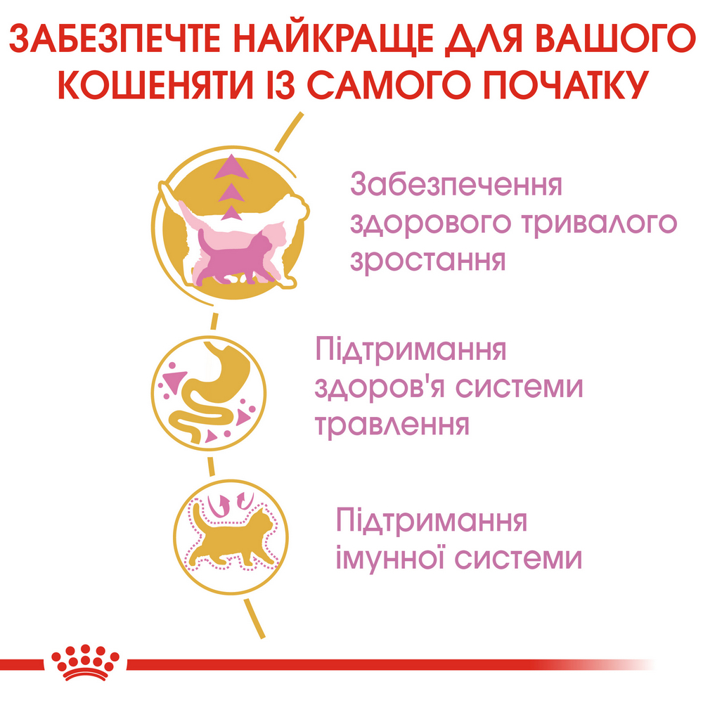 Royal Canin Maine Coon Kitten сухий корм для кошенят породи мейн-кун - 2 кг
