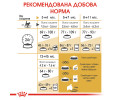 Royal Canin Maine Coon Kitten сухий корм для кошенят породи мейн-кун - 2 кг