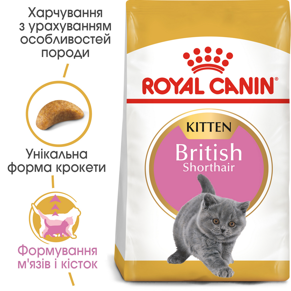 Royal Canin British Shorthair Kitten корм для кошенят породи британська короткошерста - 2 кг