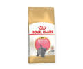 Royal Canin British Shorthair Kitten корм для кошенят породи британська короткошерста - 2 кг