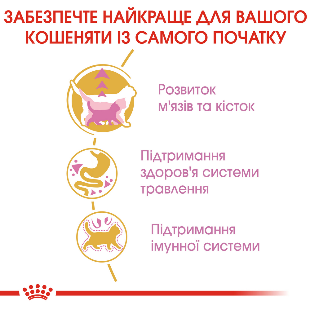 Royal Canin British Shorthair Kitten корм для кошенят породи британська короткошерста - 2 кг