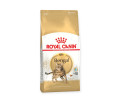Royal Canin Bengal Adult сухий корм для котів бенгальської породи - 2 кг