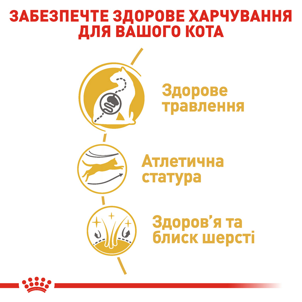 Royal Canin Bengal Adult сухий корм для котів бенгальської породи - 2 кг