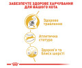 Royal Canin Bengal Adult сухий корм для котів бенгальської породи - 2 кг