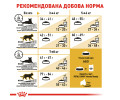 Royal Canin Bengal Adult сухий корм для котів бенгальської породи - 2 кг