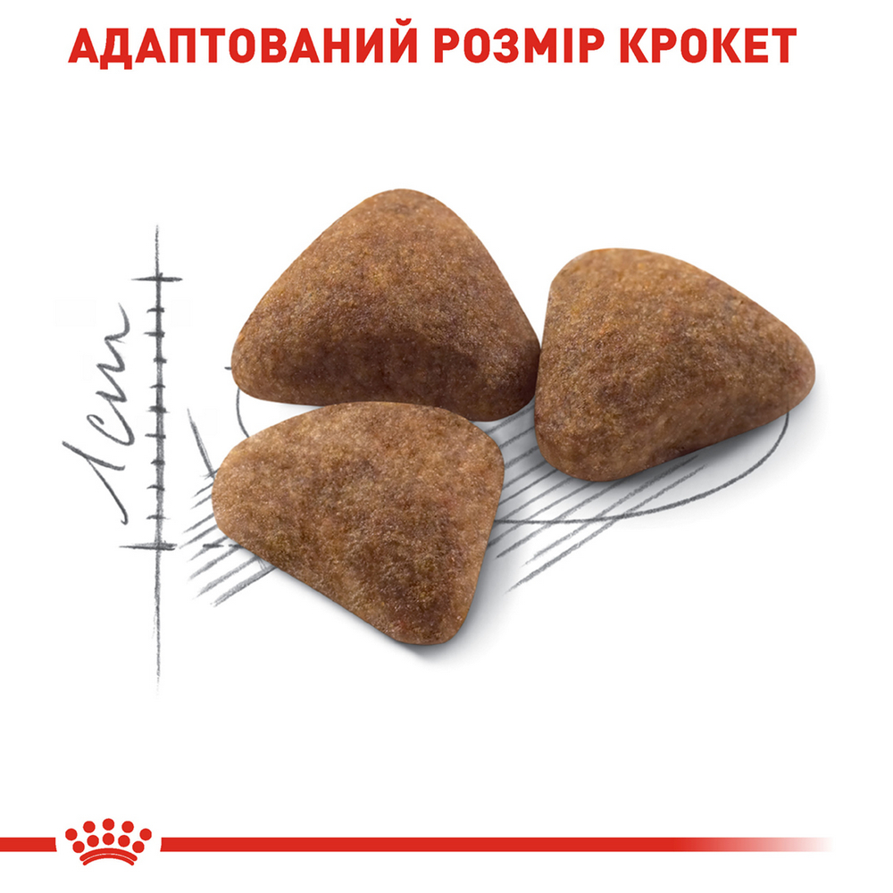 Royal Canin Indoor 27 сухий корм для котів, що живуть у приміщенні - 10 кг