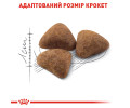 Royal Canin Indoor 27 сухий корм для котів, що живуть у приміщенні - 10 кг