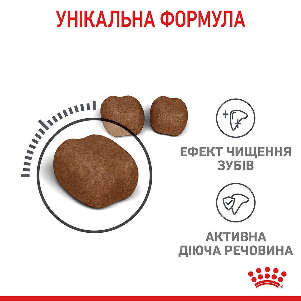 Royal Canin Dental Care сухий корм для запобігання зубного нальоту у котів - 400 г